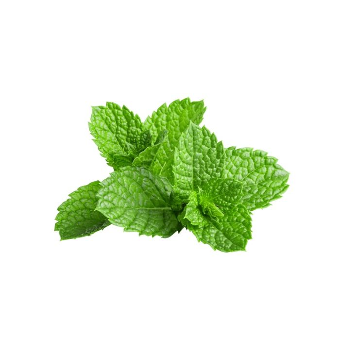 Mint (3 Bunches)