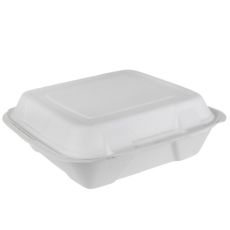 IECO Hinged Bagasse Containers 9 in × 9 in 2 packs of 50