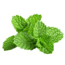 Mint (3 Bunches)